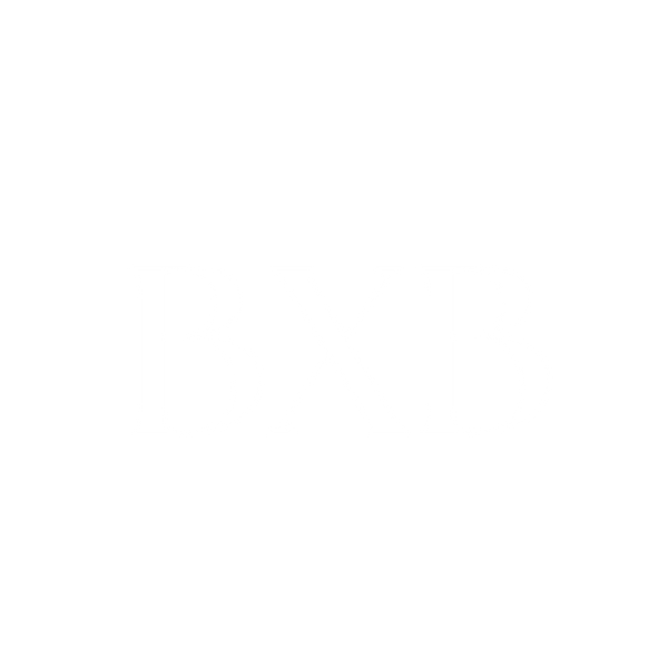 BODYXBRI